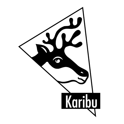 Karibu 38 mm Saunahaus Hycore 1 